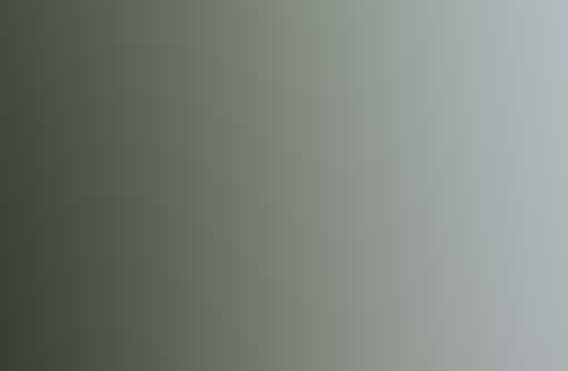 攻击网站的方法